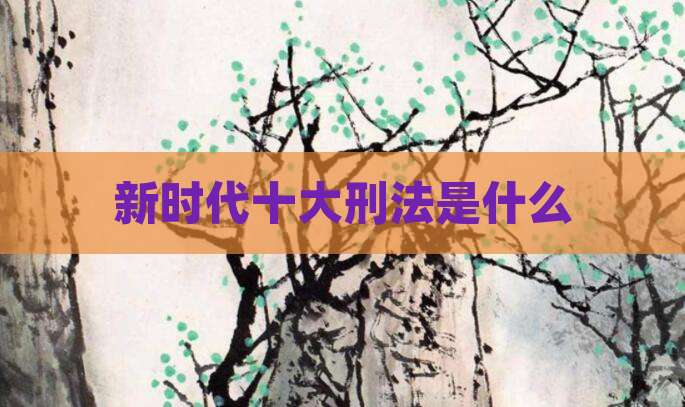 新时代十大刑法是什么