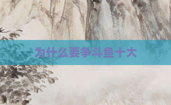 为什么要争斗鱼十大