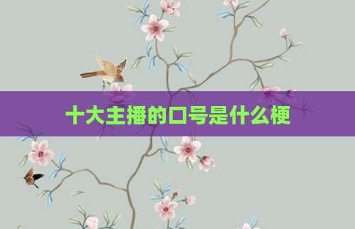 十大主播的口号是什么梗