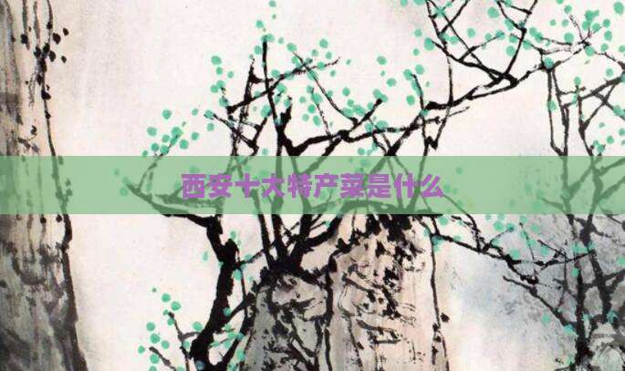 西安十大特产菜是什么
