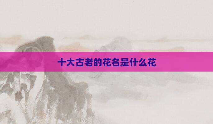 十大古老的花名是什么花