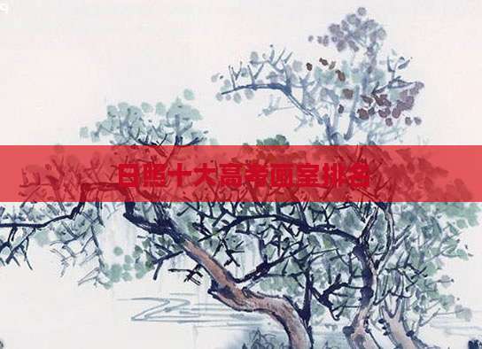 日照十大高考画室排名