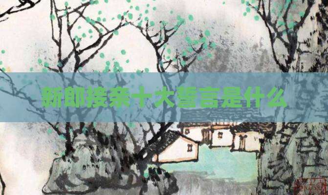 新郎接亲十大誓言是什么