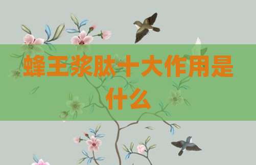 蜂王浆肽十大作用是什么