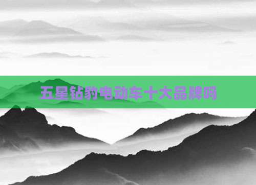 五星钻豹电动车十大品牌吗