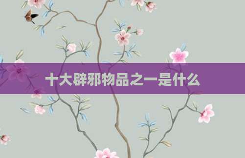 十大辟邪物品之一是什么