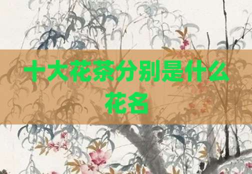 十大花茶分别是什么花名