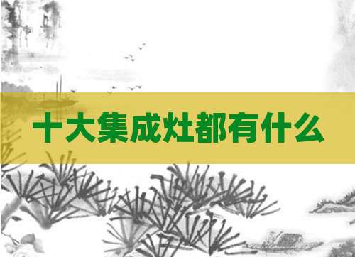 十大集成灶都有什么