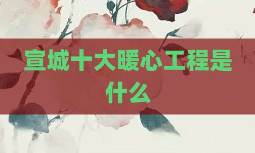 宣城十大暖心工程是什么