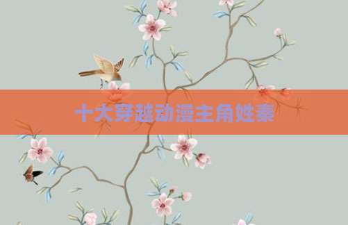 十大穿越动漫主角姓秦