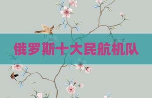 俄罗斯十大民航机队