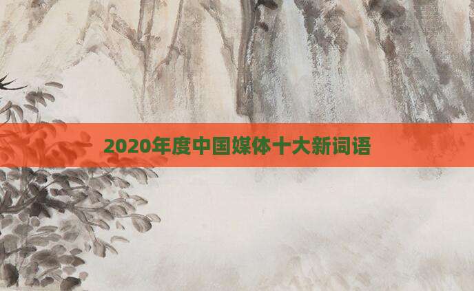 2020年度中国媒体十大新词语