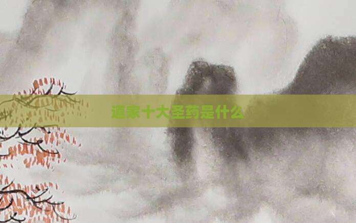 道家十大圣药是什么