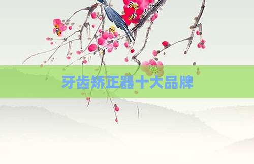 牙齿矫正器十大品牌