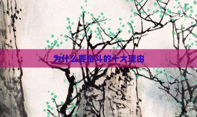 为什么要奋斗的十大理由
