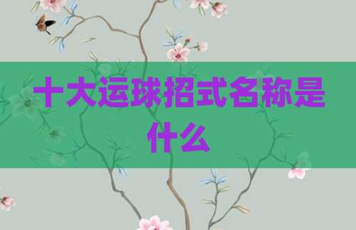 十大运球招式名称是什么