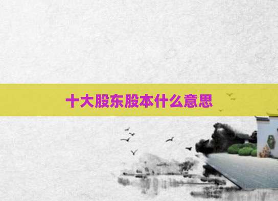 十大股东股本什么意思