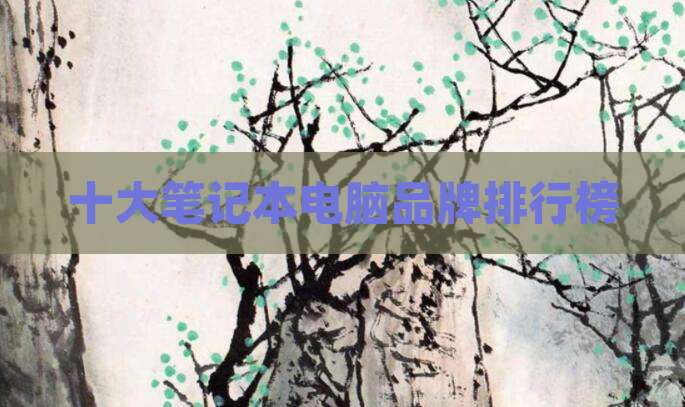 十大笔记本电脑品牌排行榜