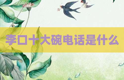 李口十大碗电话是什么