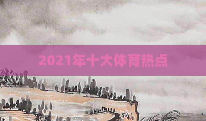 2021年十大体育热点