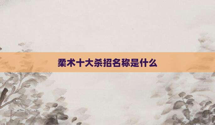 柔术十大杀招名称是什么