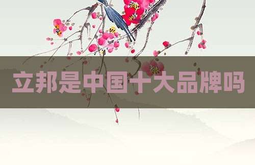立邦是中国十大品牌吗