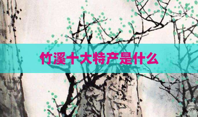 竹溪十大特产是什么