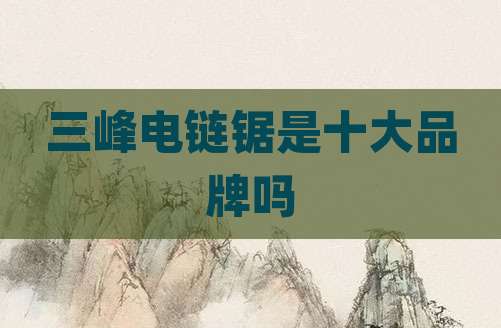 三峰电链锯是十大品牌吗