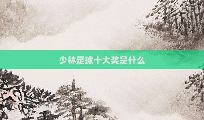 少林足球十大奖是什么