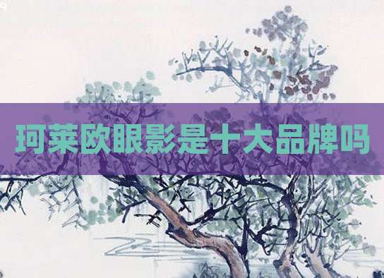 珂莱欧眼影是十大品牌吗