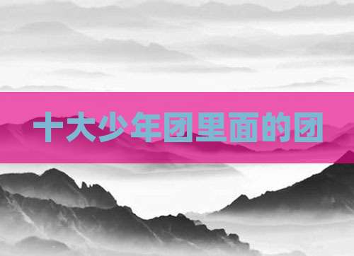 十大少年团里面的团