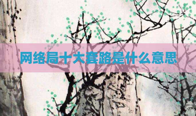 网络局十大套路是什么意思