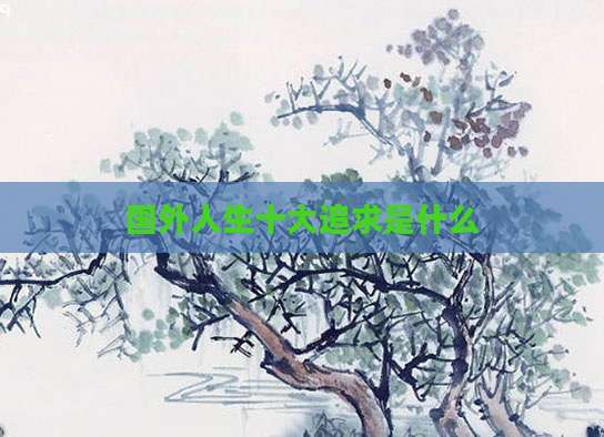 国外人生十大追求是什么