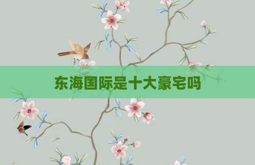 东海国际是十大豪宅吗