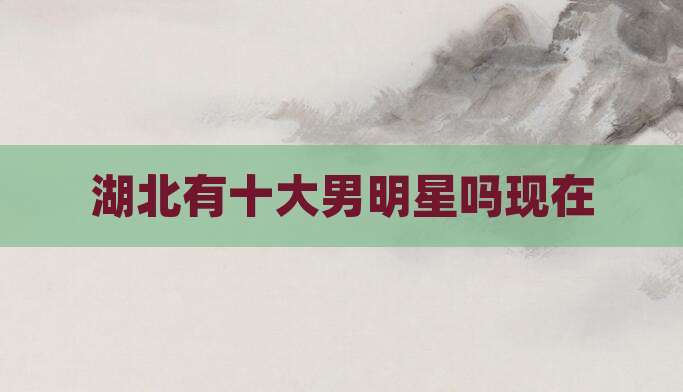湖北有十大男明星吗现在