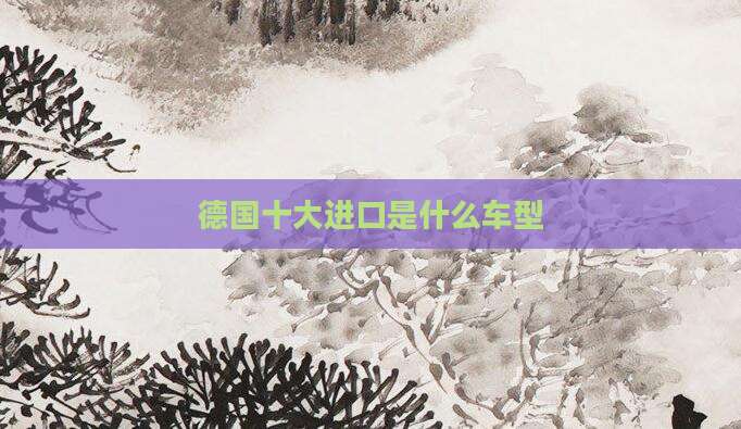 德国十大进口是什么车型