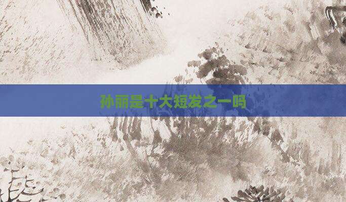 孙丽是十大短发之一吗