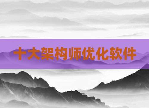 十大架构师优化软件