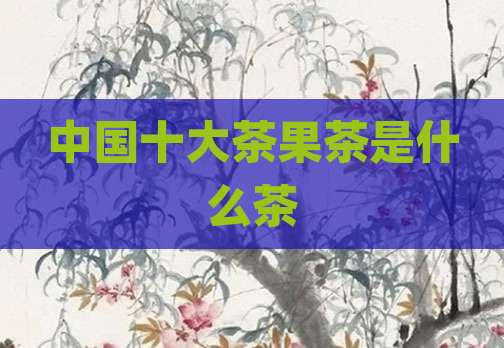 中国十大茶果茶是什么茶