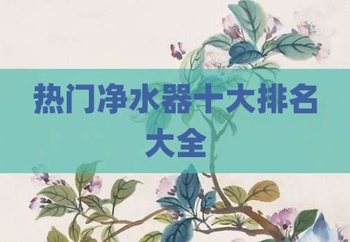 热门净水器十大排名大全