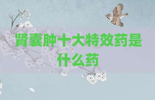 肾囊肿十大特效药是什么药
