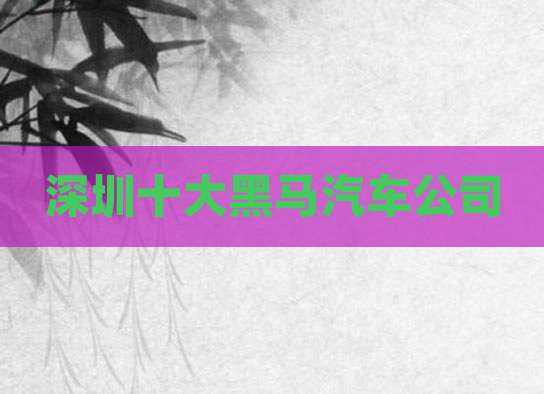 深圳十大黑马汽车公司