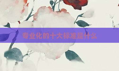 专业化的十大标准是什么