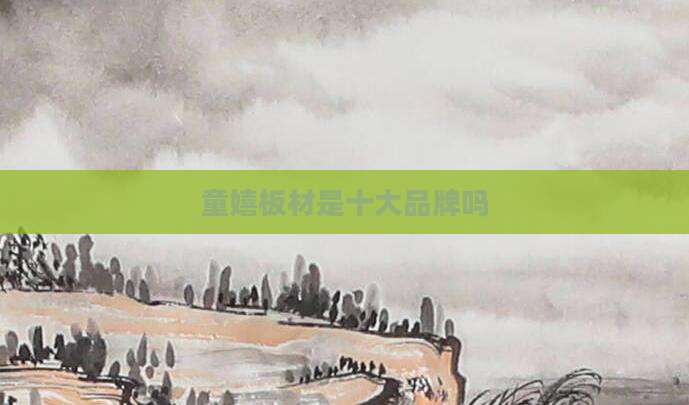 童嬉板材是十大品牌吗
