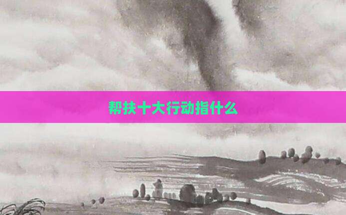 帮扶十大行动指什么