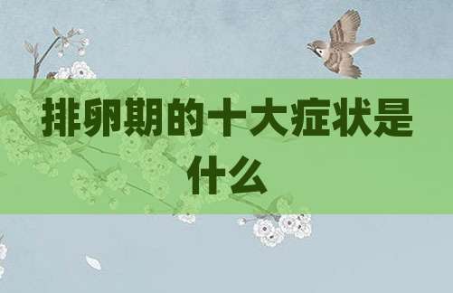 排卵期的十大症状是什么