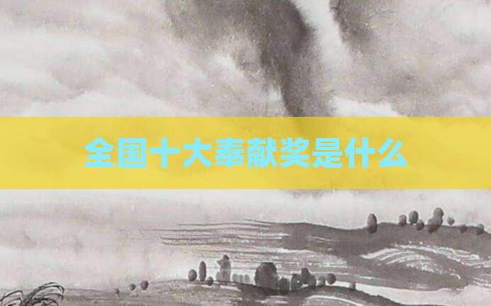 全国十大奉献奖是什么
