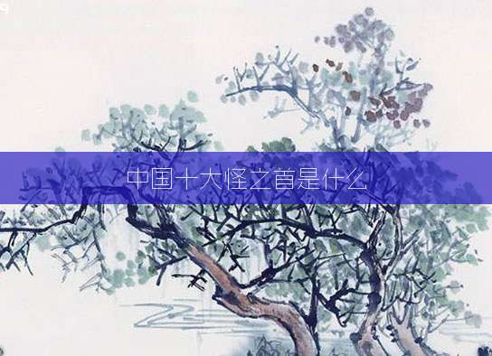 中国十大怪之首是什么