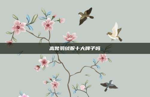 高梵羽绒服十大牌子吗