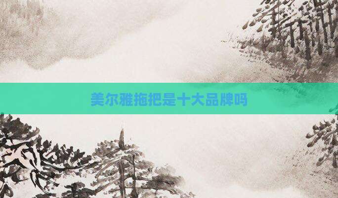 美尔雅拖把是十大品牌吗